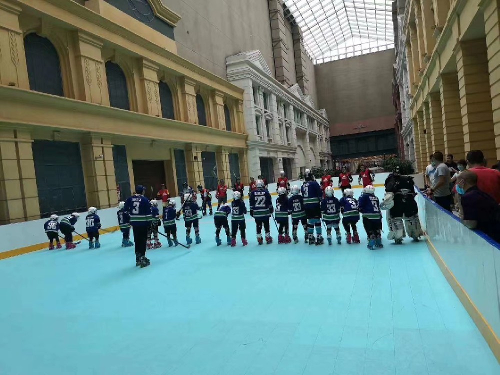 冰球场围栏：安全性与美观性的**平衡